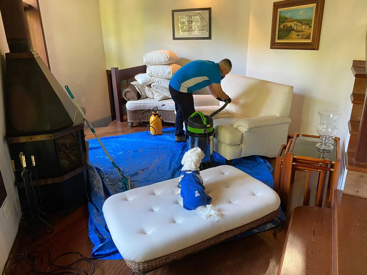 Sofá creme recuperado após higienização profissional